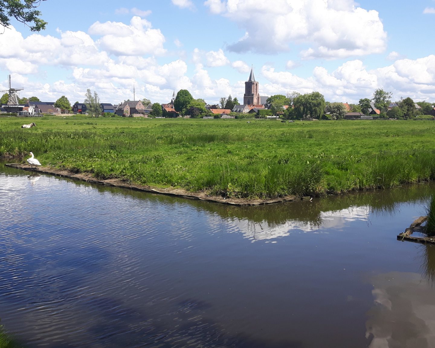Op weidevogel jacht