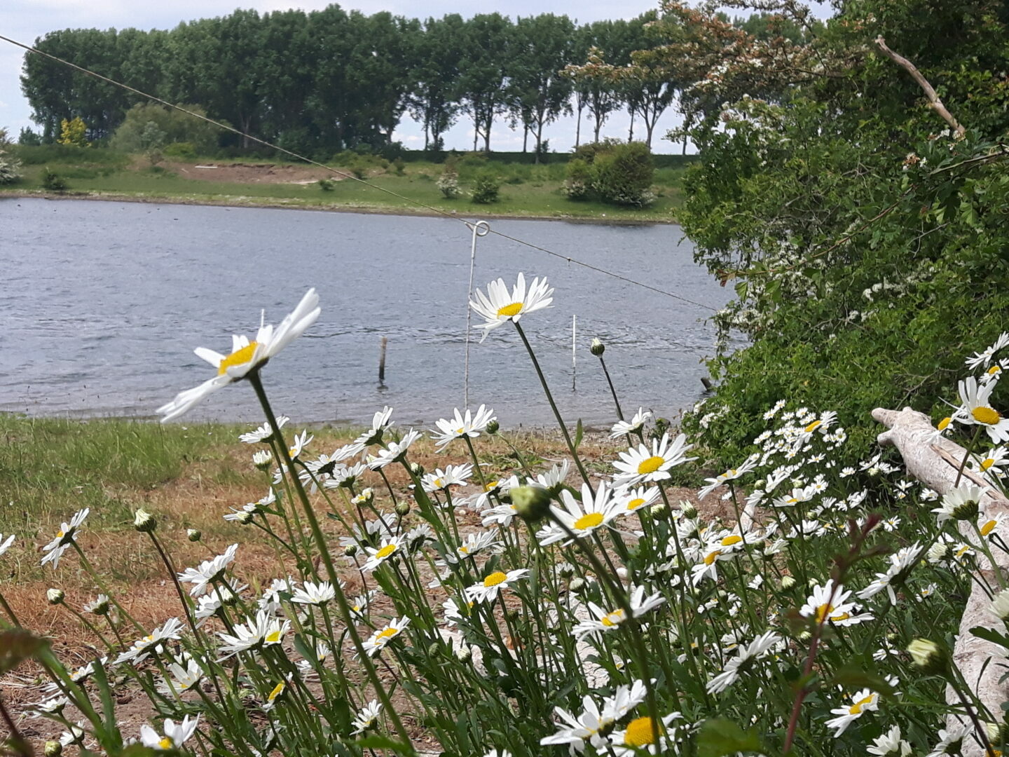 Lappendeken