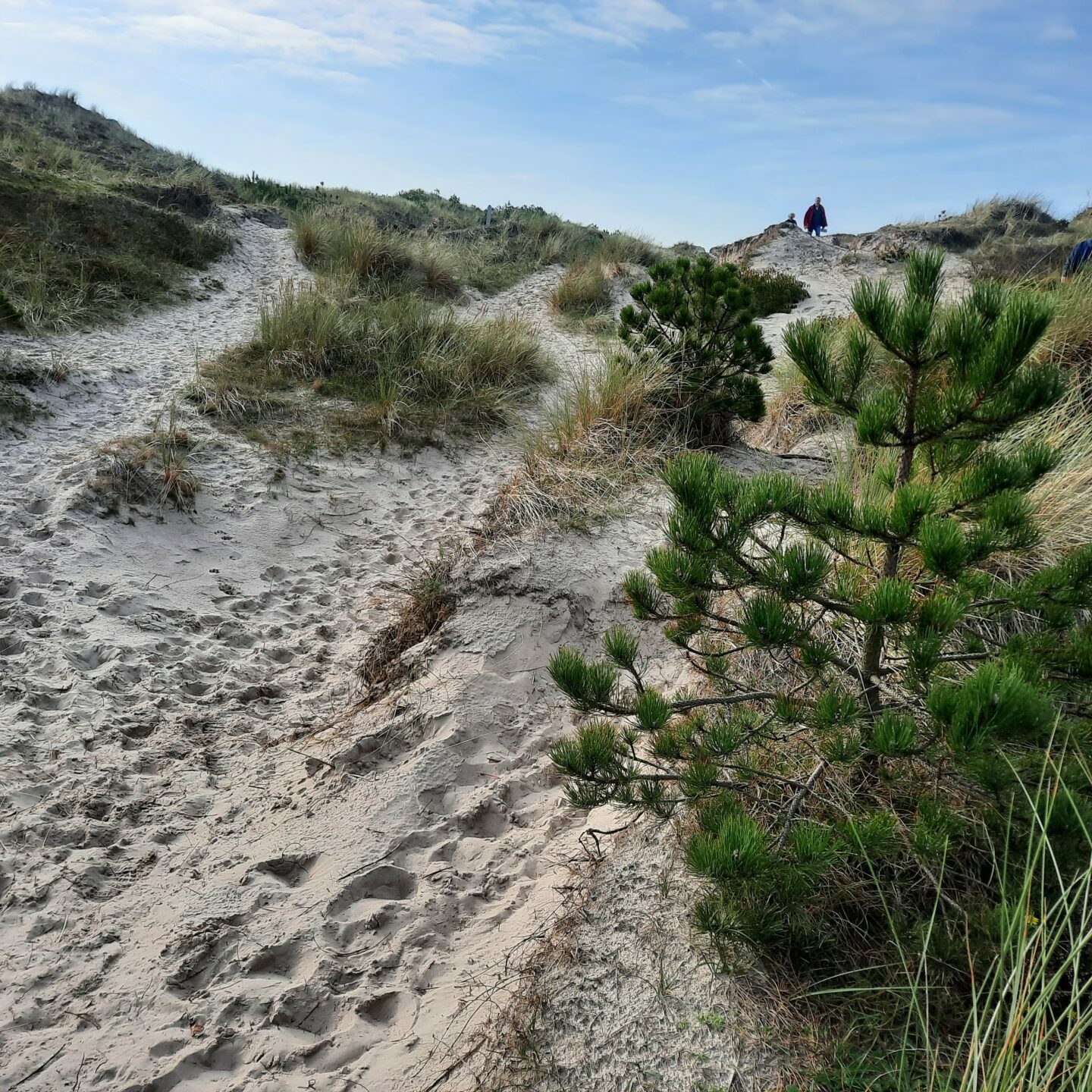 Zee snuiven