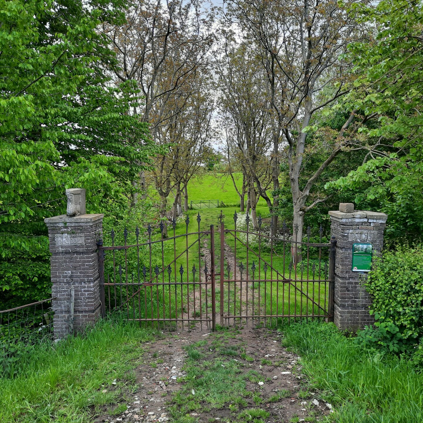 Mensenhanden